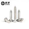 Tornillos de Cabeza Redonda Pa Niquelados, Tornillos Autorroscantes de Cabeza Plana de Cabeza Cruzada, Clavos Micro, Colección Mayorista de Tornillos de Cabeza Redonda de Cabeza Cruzada