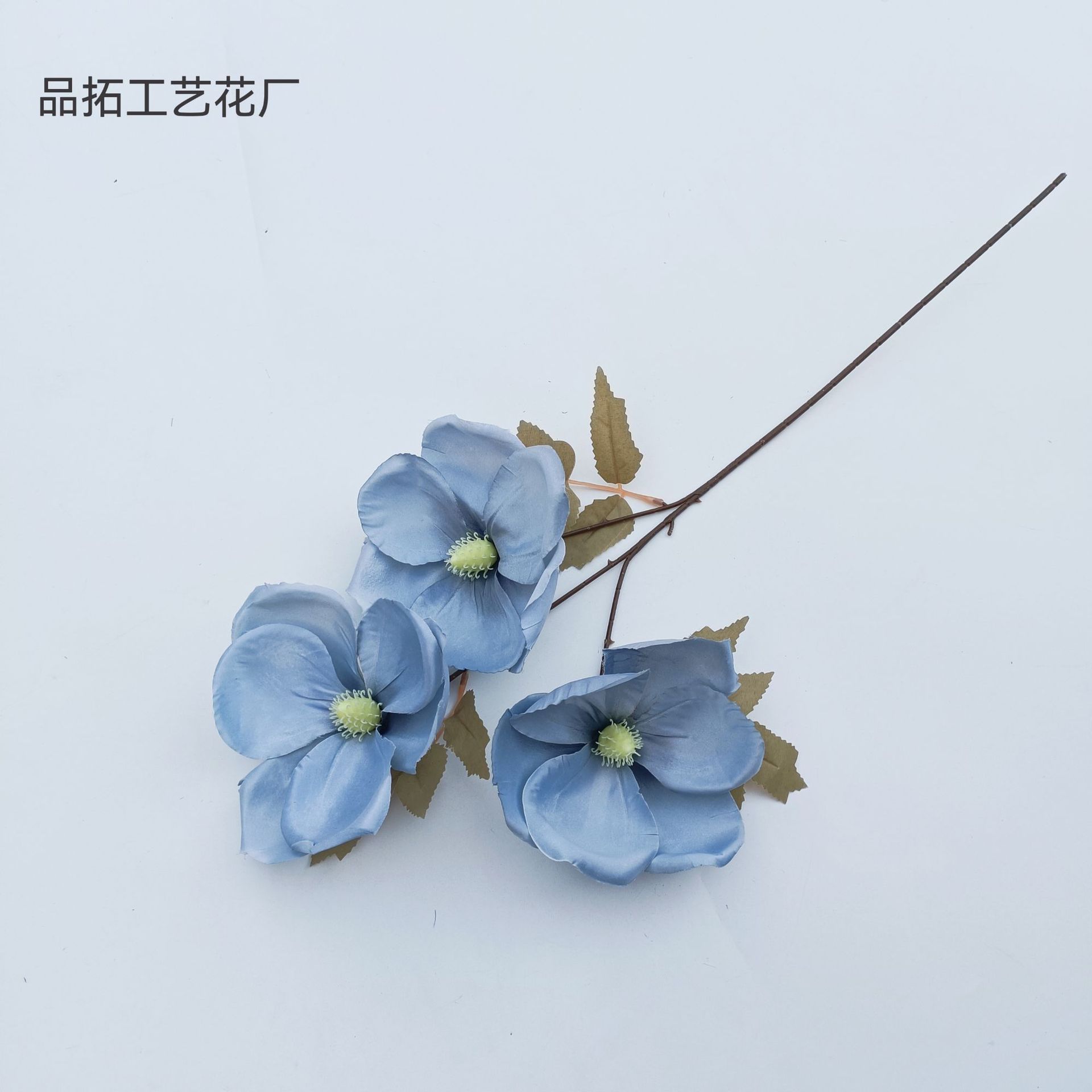 0ea6ef2d7a638db1a5e925a4e17c85