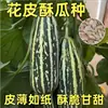 Fabricante de Sementes Atacado Sementes de Vegetais de Quatro Estações Rabanete Feijão e Outras Sementes Mais de 200 Sementes da Cadeia de Suprimentos