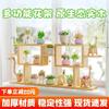 Estante de madera maciza para flores carnosas, estante de almacenamiento multicapa para escritorio interior, sala de estar, rosa verde, planta, balcón, piso, maceta, estante de exhibición