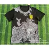 Atacado Camisa do Brasil Edição Especial Série Uniformes de Futebol Manga Curta Adulto