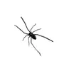 Araña de plástico explosiva transfronteriza como decoración araña de decoración de plástico decoraciones de parodia