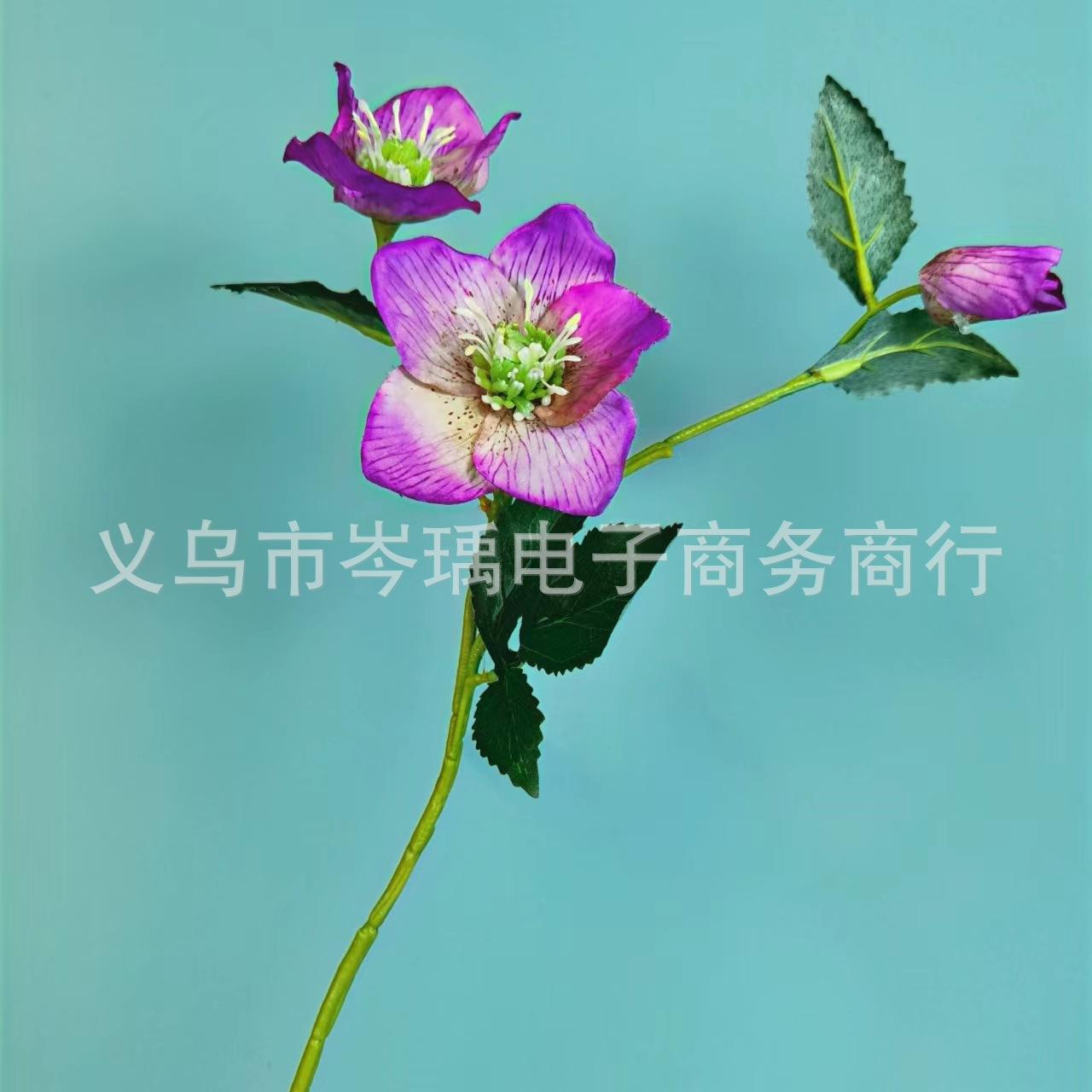 微信图片_20220608110050.jpg