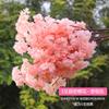 Rama de Cerezo Simulada Árbol de Cerezo Encriptado Rama de Flor de Pera y Durazno Flor de Plástico para Boda Flor Falsa para Techo de Sala de Estar Decoración de Ratán