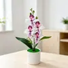 No. 204 Maceta 4 Flores Cymbidium Bonsai Decoración de Escritorio de Oficina Accesorios Flores Artificiales Plantas en Maceta Simuladas Adornos Venta al por Mayor Phalaenopsis