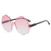 Nuevas Gafas Transfronterizas Gafas de Sol para Niños Venta al por Mayor Moda Ins Tendencia Irregular Flor de Neumático Gafas de Sol