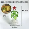 Adornos Navideños Luminosos de Vidrio para Árbol de Navidad, Luces Nocturnas Creativas con Forma de Árbol de Vidrio, Luces Nocturnas Decorativas de Escritorio para Fiestas