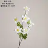 Flores Funil Moaan Fabricante de Flores Artificiais Transfronteiriça Decoração de Casa Buquê de Casamento Parede de Rosas Flores Falsas Estilo Ins