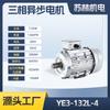 Motor Assíncrono Trifásico de Potência Total com Carcaça de Alumínio Dingyi Equipado com Equipamento Mecânico Motor Assíncrono Trifásico de Cobre Puro 380V