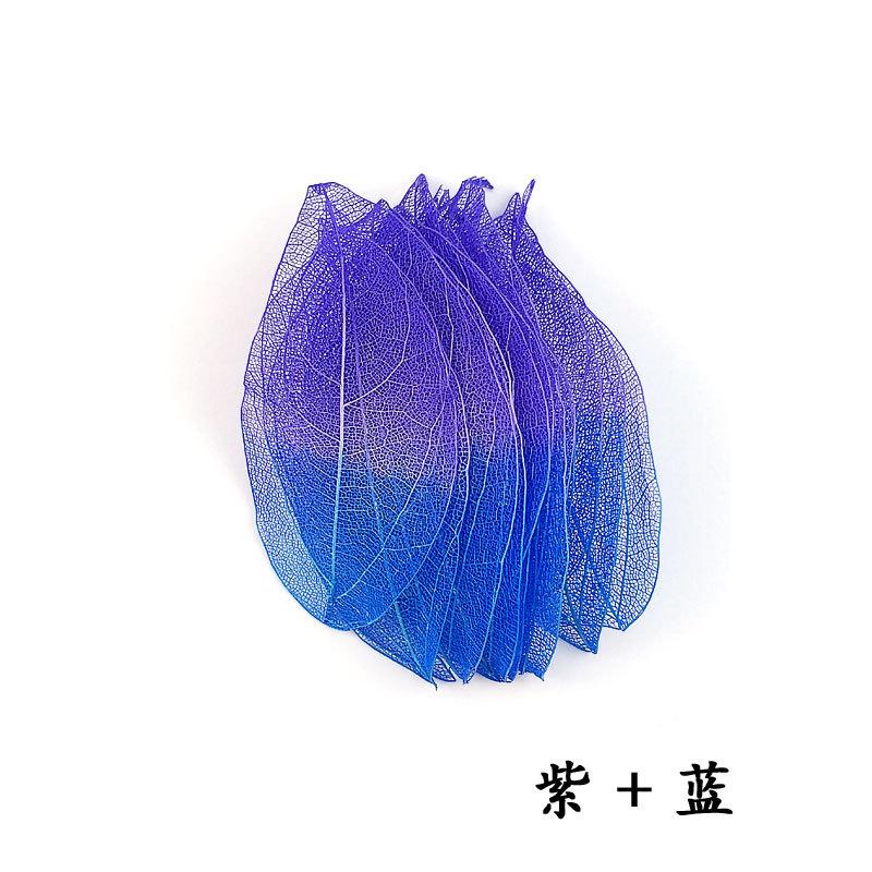 双色金刚叶紫+蓝.jpg