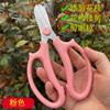 Fabricante Venta al por Mayor Tijeras Florales, Tijeras para Arreglos Florales, Tijeras de Podar, Tijeras para Ramas de Flores, Tijeras de Podar, Tijeras de Entrenamiento para Floristas para Flores