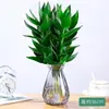 Bambú Guanyin, Bambú Atractor de Fortuna, Flor de Raíz Hidropónica, Planta Verde Atractora de Riqueza, Cesta de Potos, Planta en Maceta Fácil de Cuidar para Uso en Oficina