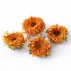 Casca de fruta faça você mesmo, pinha, lascas de madeira, folhas, flores secas, combinação de frutas secas, decoração de natal, decoração de jardim de infância, adereços retrô