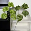 Simulación 5 Cabezas Hortensia Ceremonia de Boda Decoración Salón de Bodas Paisajismo Materiales Florales Adorno Decoración Sala de Estar Hortensia