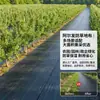 Tela Permeable al Agua para Control de Malezas Agrícolas, Tapete Negro Anti-Envejecimiento de Plástico para Control de Malezas en Invernadero y Huerto