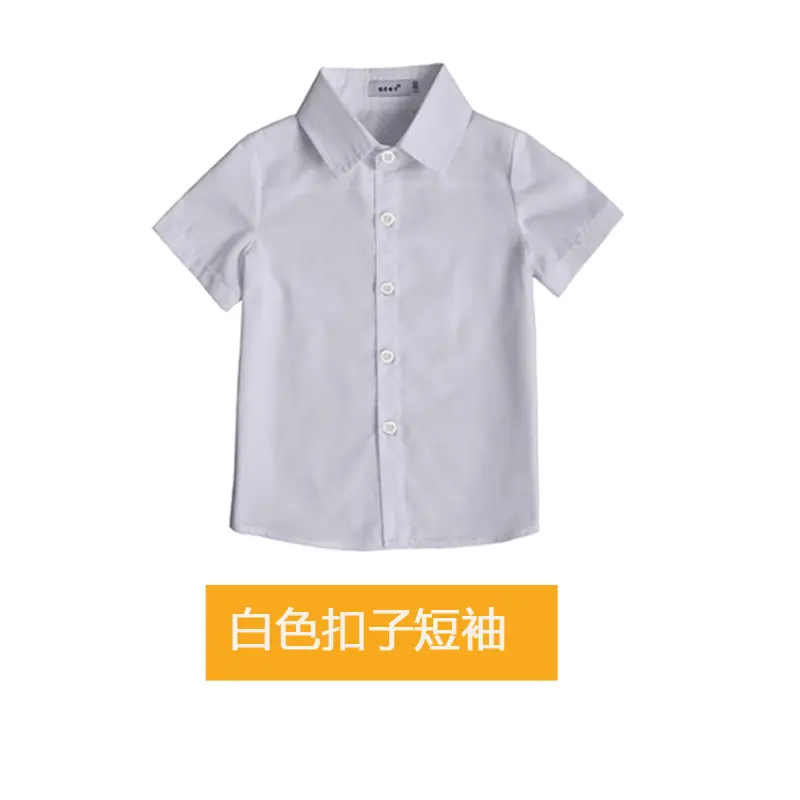 白扣子.jpg