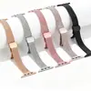 Adecuado para Apple iWatch, correa de reloj de malla espiga espiga de trigo de cintura pequeña con cierre magnético, correa de reloj de acero inoxidable para mujer
