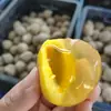 Huevos de Henan: Envío directo de 6/10/20/30/40 piezas de huevos de corral rebotadores, huevos de ave fresca procesados tradicionalmente