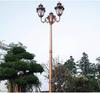 Vendas Diretas de Fábrica Luz de Jardim Estilo Europeu Cabeça Dupla Led Luz de Rua Comunitária Casa Jardim Parque 3.5m Iluminação Externa Lote