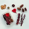 Paquete de Materiales Hechos a Mano para Bricolaje Flores Mixtas Plantas Flores Secas Piñas de Navidad Estilo Bosque para Jardín de Infancia Creación Ambiental Decoración