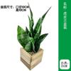 Vaso de Flor de Orquídea Tigre Simulada Estilo Moderno Simples Planta Verde Simulada Planta Bonsai Pequena em Vaso Artificial de Mesa Orquídea Tigre