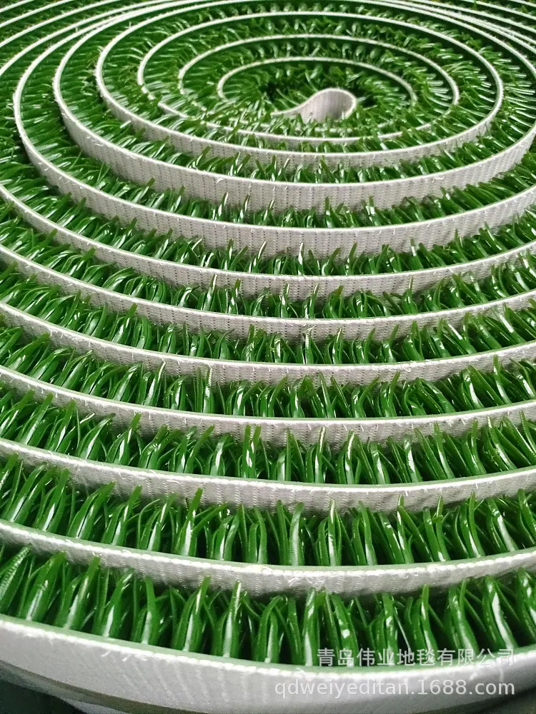 淘金草