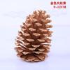Pinhas Decorações para árvores de Natal Flor seca pinha de pinha óleo pinhão de cor primária pinhões Laca de pinho branco pinhas de escama de peixe pinhas de pinho