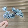 Flores Secas Artesanais de Yunnan Sementes de Girassol Enfeites de Decoração para Casa Estilo Ins Foto Girassol Lótus Buquê Casca de Fruta