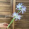 Flor de Dos Cabezas, Manzhu Sha Hua, Flor Artificial Lirio de Lluvia, Accesorios de Estudio Fotográfico Estilo Antiguo, Flores para Decoración de Bodas