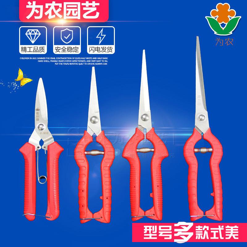 4438540376_784819883 拷贝