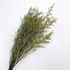 Venta al por mayor de Flores Eternas, Hierba Eterna, Flores Secas, Diseño Floral para Bodas, Regalos Empresariales