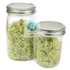 Atacado de fábrica 304 tampa de germinação de aço inoxidável tampa do filtro brotos de feijão semente germinação tampa da garrafa tampa de germinação dividida