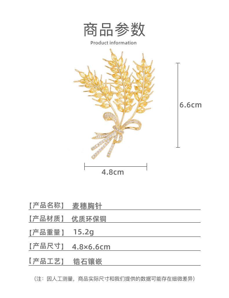 尺寸.jpg