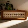 Porta-Retrato 3D Vazado 2cm de Profundidade Grade Longa Formato Vidro de Alta Transparência Resina de Frutas Insetos Espécime Suporte de Exibição DIY