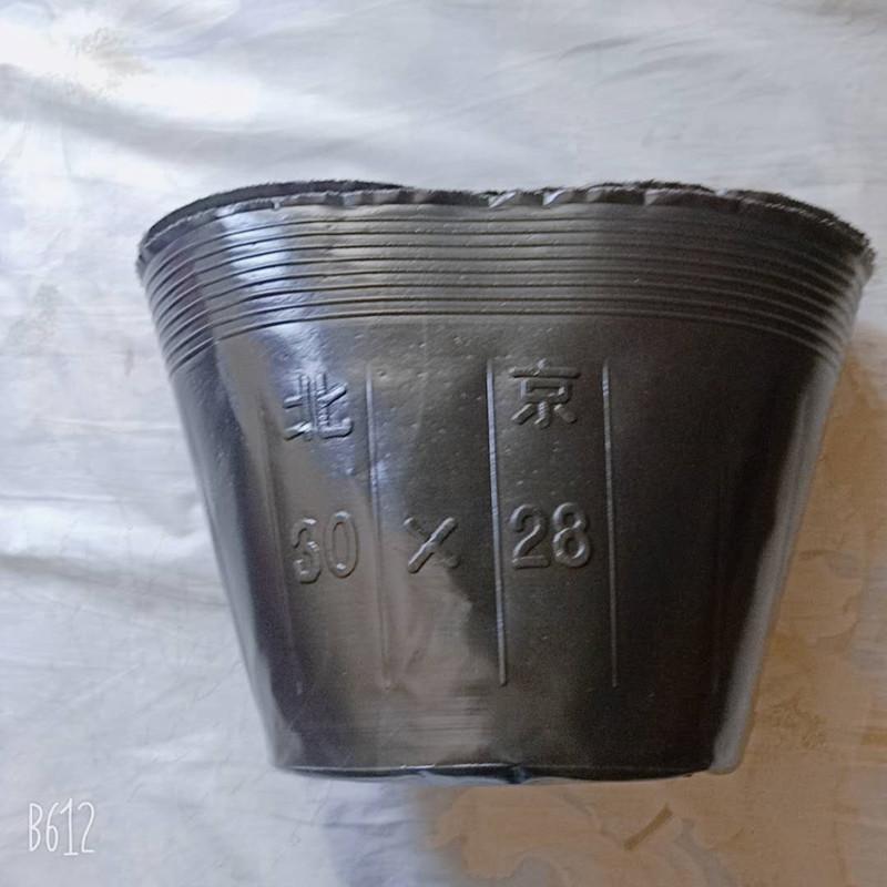 微信图片_20200605102911