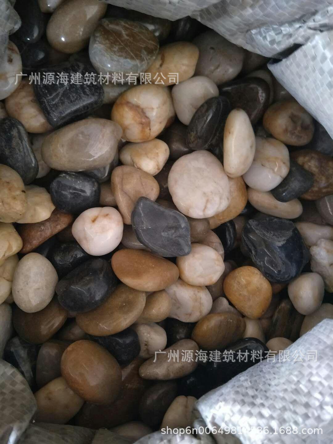 mmexport1558099977769