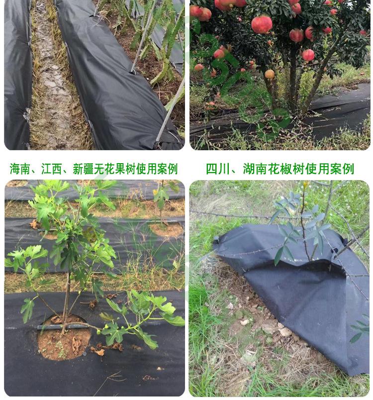 客户案例展示_03