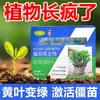 Regenerador de Plantas Solución Nutritiva Concentrada Universal para Plantas Verdes Cuidado de Flores Plantas en Maceta Jardinería Casera Fertilizante Soluble en Agua Solución Revitalizante