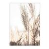 Paisaje de Plantas Cálido de Otoño Estrella de Mar Heno Cisne Playa Sala de Estar Dormitorio Decoración Pintura Colgante Sin Marco Póster de Núcleo
