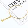 Pulseira de corrente caixa de aço inoxidável push-pull banhada a vácuo a ouro acessórios de joalheria moda decoração legal corrente ajustável