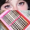 Pestañas postizas transfronterizas, adecuadas para principiantes de ascendencia mixta europea, americana y asiática, aspecto natural, realzan los ojos, más vendido en Amazon, DIY