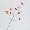 Nuevas Ramas y Hojas de Simulación de Sentido Chino Hojas de Abedul Hojas de Otoño Ramas Sala de Estar Decorativas Flores Falsas Adornos de Flores de Paisaje Creativo