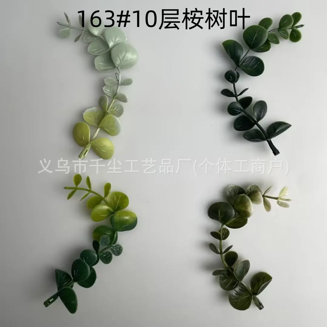 163#10层桉树叶.jpg