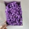 Anna Hortênsia 20G/Caixa Flor Imortal Flor Eterna Caixa de Presente Material de Flor Flor Seca Flor Preservada Material de Flor Imortal