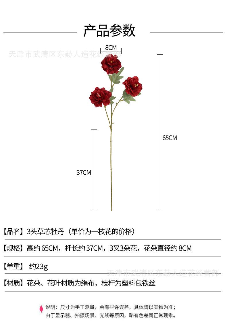 详情_01.jpg