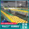 Material de Grau Alimentício Conjunto Completo de Equipamentos de Processamento para Conservas de Frutas Linha de Produção de Conservas de Pêssego Amarelo 500-5000Kg/H