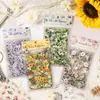 Yuezhen Cultural y Creativo Flor de Ensueño Lenguaje de Flores Pegatinas para Mascotas Pegatinas para Diario Pegatinas Infantiles Transfronterizas Pegatinas Impermeables Materiales para Diario