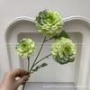 Plantas Verdes Artificiais para Casamento, Grama Aspargo Verde Estilo Floresta, Flores Artificiais Verdes, Materiais Florais Artificiais para Casamento, Série de Decoração para Salão de Casamento