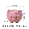 Maceta nórdica sencilla con diseño de animales carnosos, de cerámica, para jardinería creativa, hidropónica, decoración del hogar