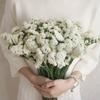 Flores Secas Miosótis Vendido por Libra Yunnan Gipsofila Buquê Flores Reais Decoração Ornamentos de Sala de Estar Florais Jueqin